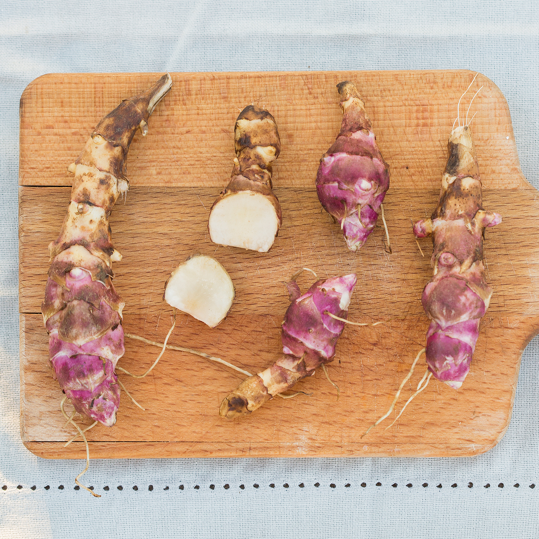 Jordärtskocka -låg 'Papas' (9)