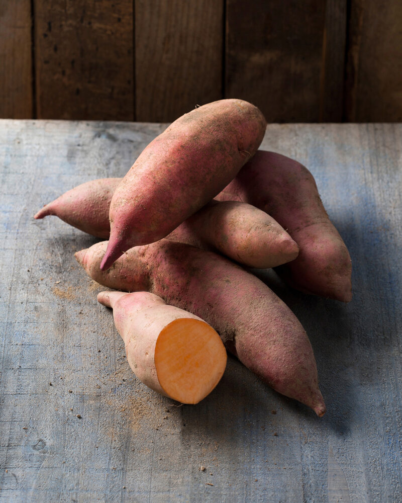 Sötpotatis 'Erato Early Orange' (9)