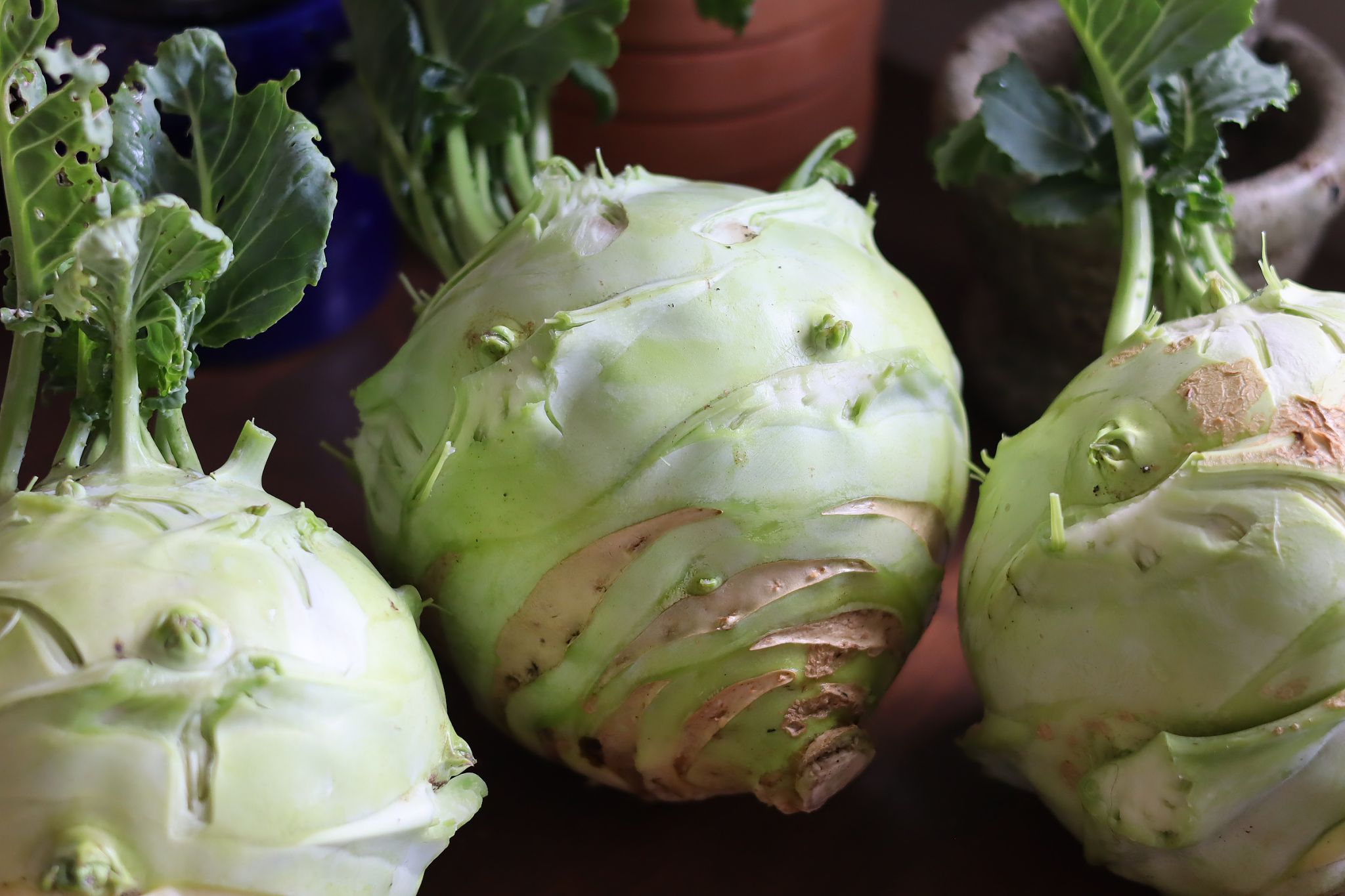 sarabackmo-kalrabbi-superschmelz