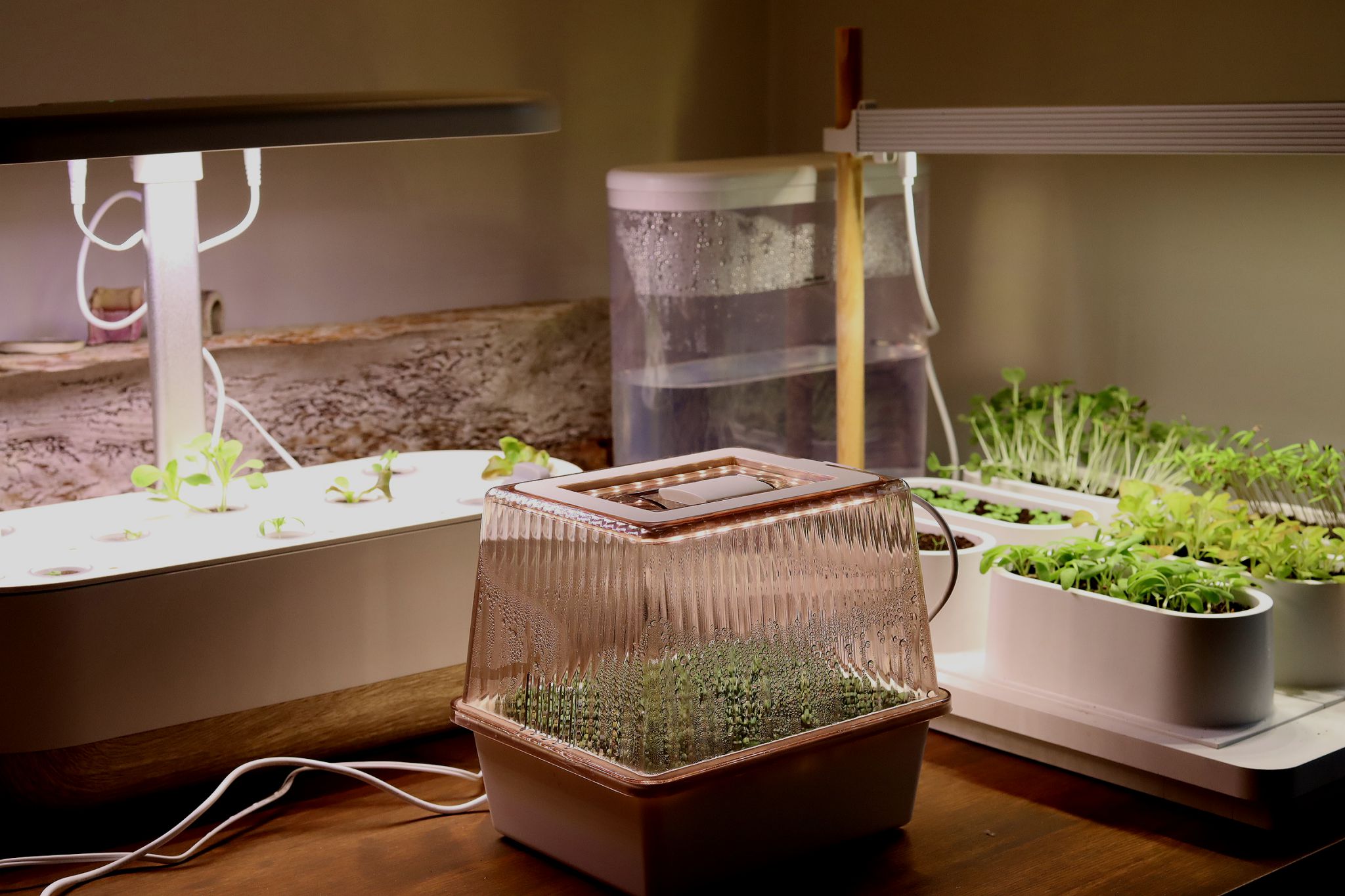 sarabackmo-odlingstrag-inomhusodling