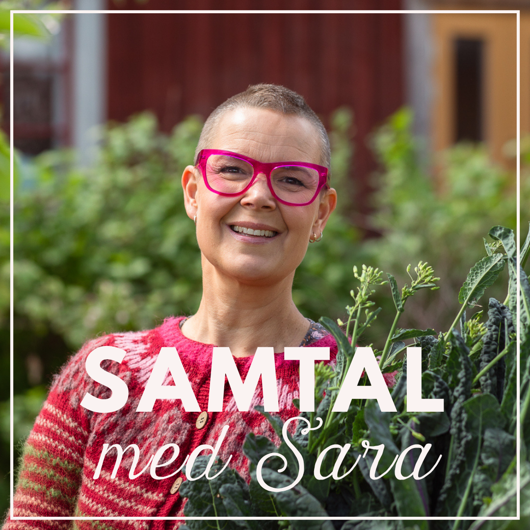 Samtal med Sara